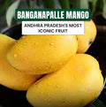 Banganapalle Mango (approx 3.5 kg) box