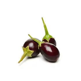 Aubergine - (Baby)