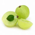 Amla (Indian Gooseberry)