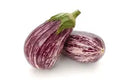 Aubergine - (Baby)