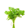 Coriander