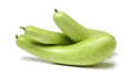 Doodhi - Bottle Gourd 1 Pcs Approx 500g