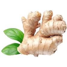 Ginger Indian