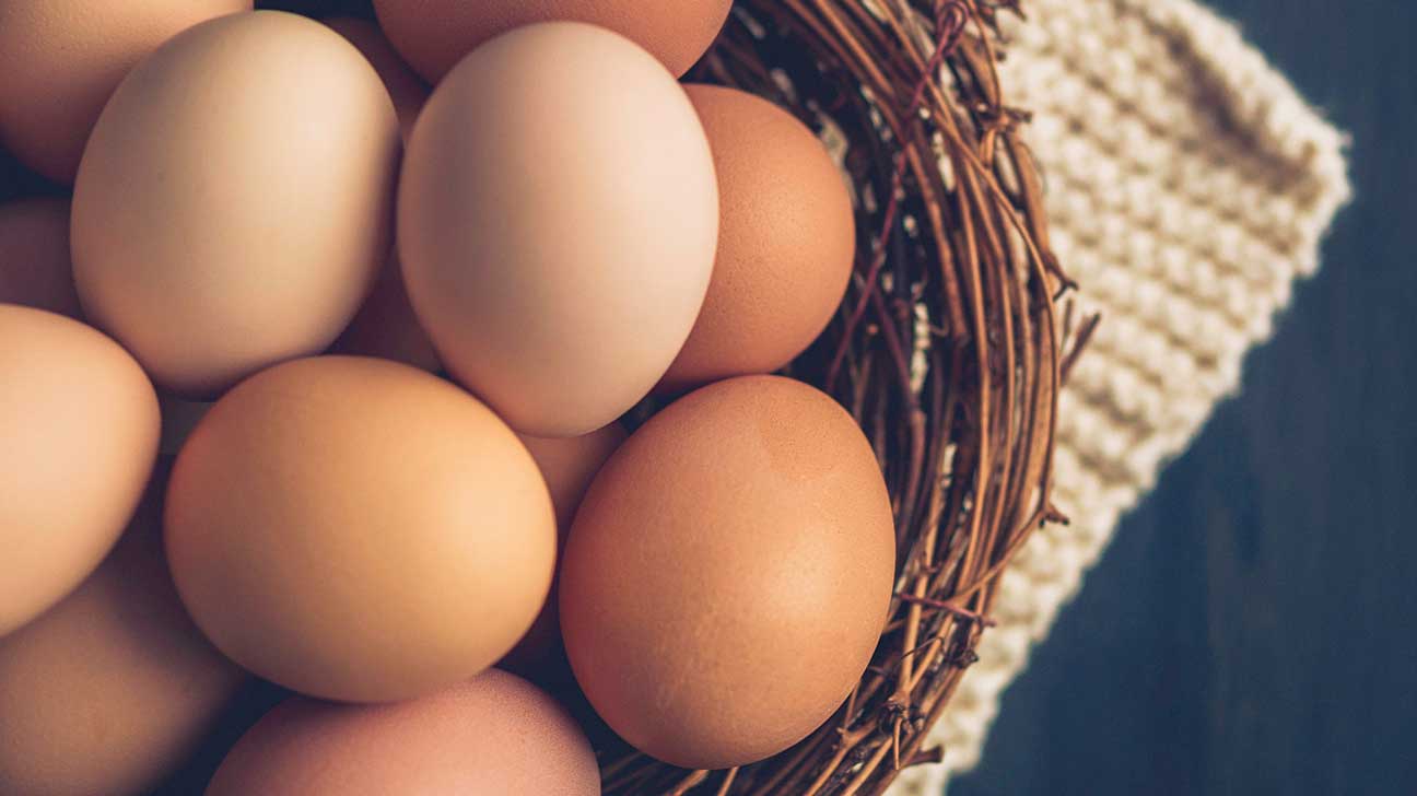 6 Pack Free Range Large Eggs