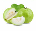 Guava Indian