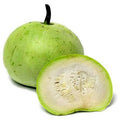 Apple Gourd (Tinda Round)
