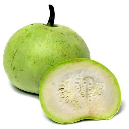 Apple Gourd (Tinda Round)