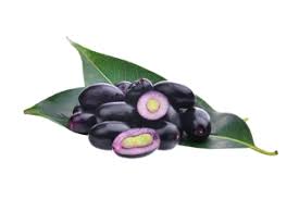 Kala Jamun (Indian Java Plum 500g pack)