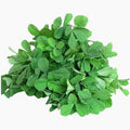 Methi (Fenugreek)