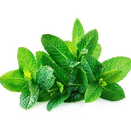 Mint Leaves (Home Grown Organic)