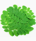 Moringa Leaves